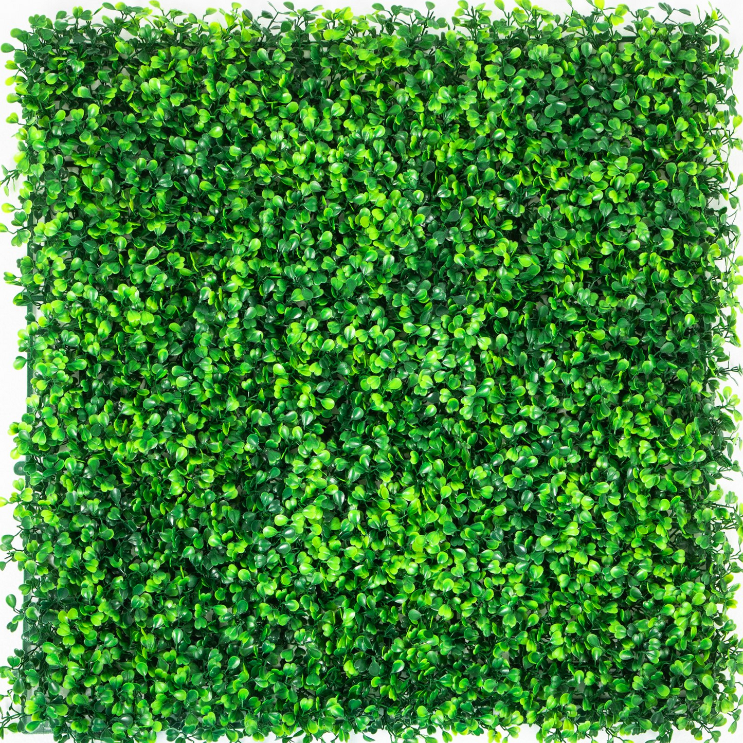VEVOR Artificial Boxwood Panels, 16 PCS 20"x20" Boxwood Hedge Wall Panels, PE Artificial Grass Backdrop Wall 1.6", Privacy Hedge Screen for Decoration of Outdoor, Indoor, Garden, Fence, and Backyard - Navarrete Furniture