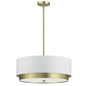 Larkin Pendant Light with Modernistic Design | 4LT Incand Pend, AGB, WH Shade & FR Glass Diff