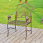 Enhance Your Patio or Garden with the Sun Ray Iron Dining Chairs - Set of 2