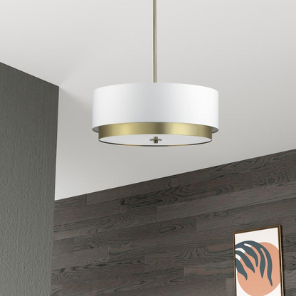 Larkin Pendant Light with Modernistic Design | 4LT Incand Pend, AGB, WH Shade & FR Glass Diff