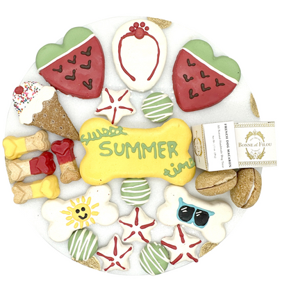 Summer Themed Dog Treats Gift Box