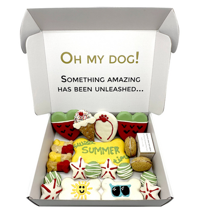 Summer Themed Dog Treats Gift Box