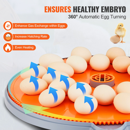 VEVOR Egg Incubator, Incubators for Hatching Eggs, Automatic Egg Turner with Temperature and Humidity Control, 24 Eggs Poultry Hatcher with ABS Transparent Shell for Chicken, Duck, Quail