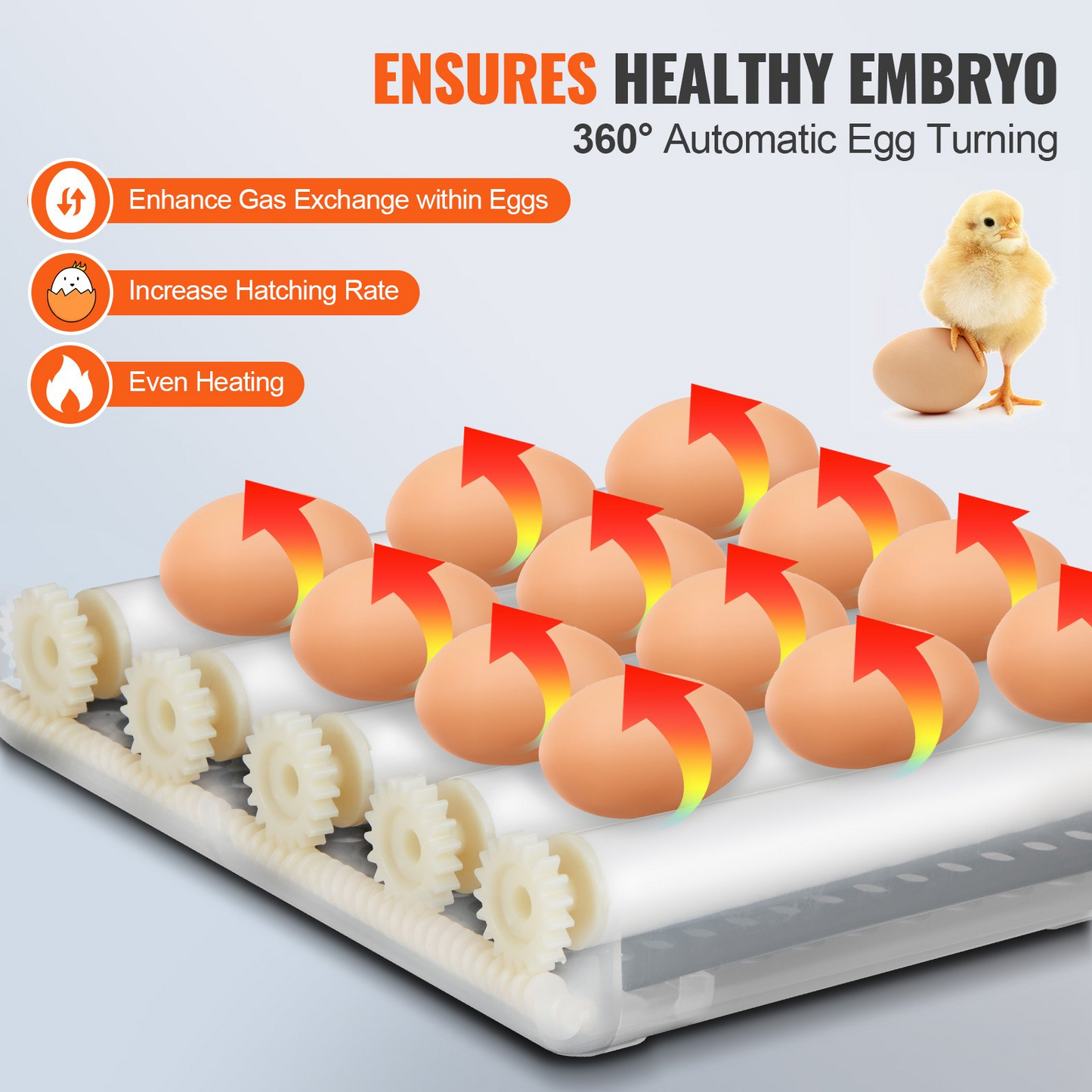 VEVOR Egg Incubator, Incubators for Hatching Eggs, Automatic Egg Turner with with Temperature and Humidity Control, 12 Eggs Poultry Hatcher with ABS Transparent Shell for Chicken, Duck, Quail