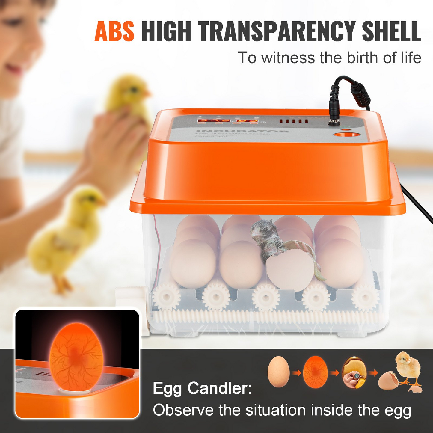 VEVOR Egg Incubator, Incubators for Hatching Eggs, Automatic Egg Turner with with Temperature and Humidity Control, 12 Eggs Poultry Hatcher with ABS Transparent Shell for Chicken, Duck, Quail