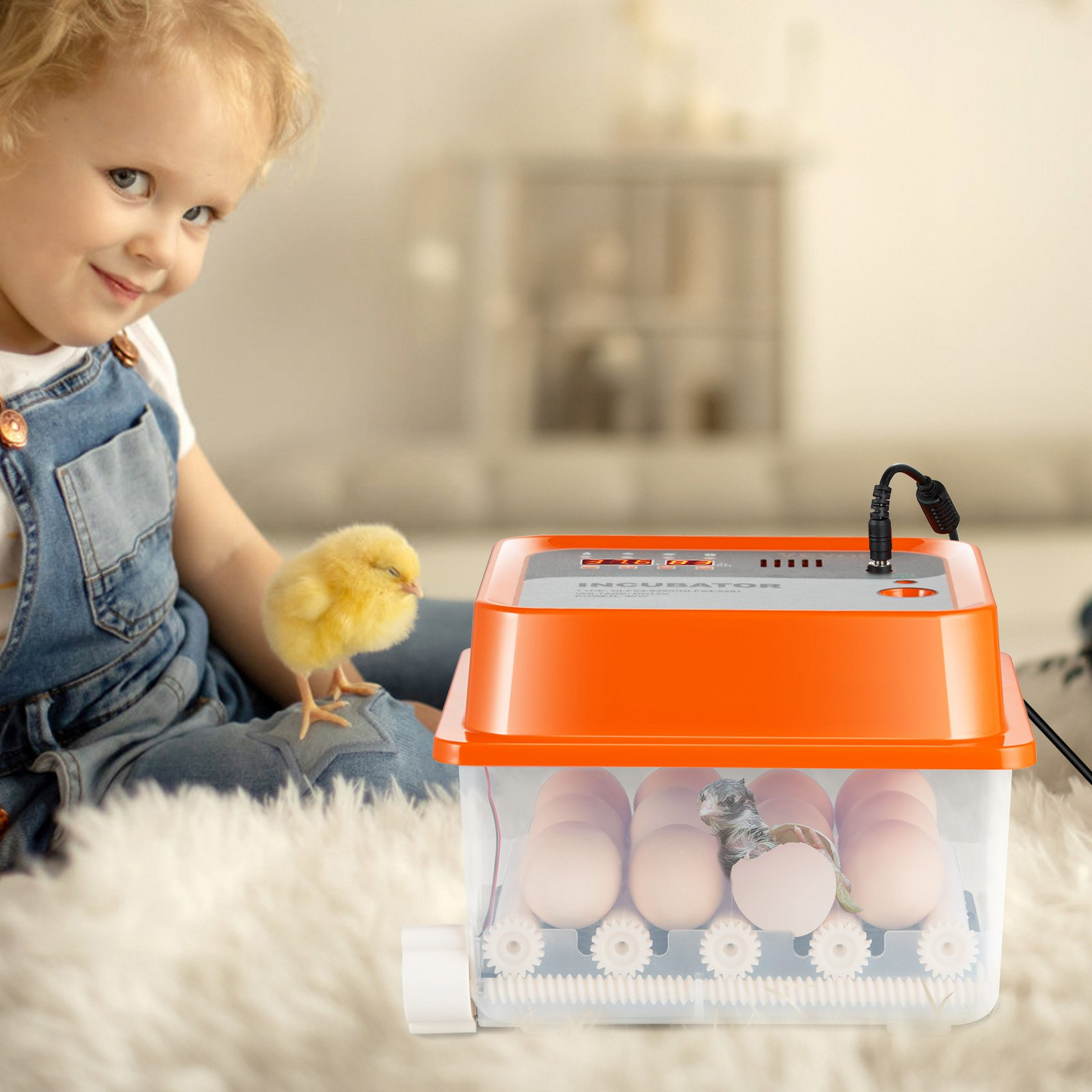 VEVOR Egg Incubator, Incubators for Hatching Eggs, Automatic Egg Turner with with Temperature and Humidity Control, 12 Eggs Poultry Hatcher with ABS Transparent Shell for Chicken, Duck, Quail