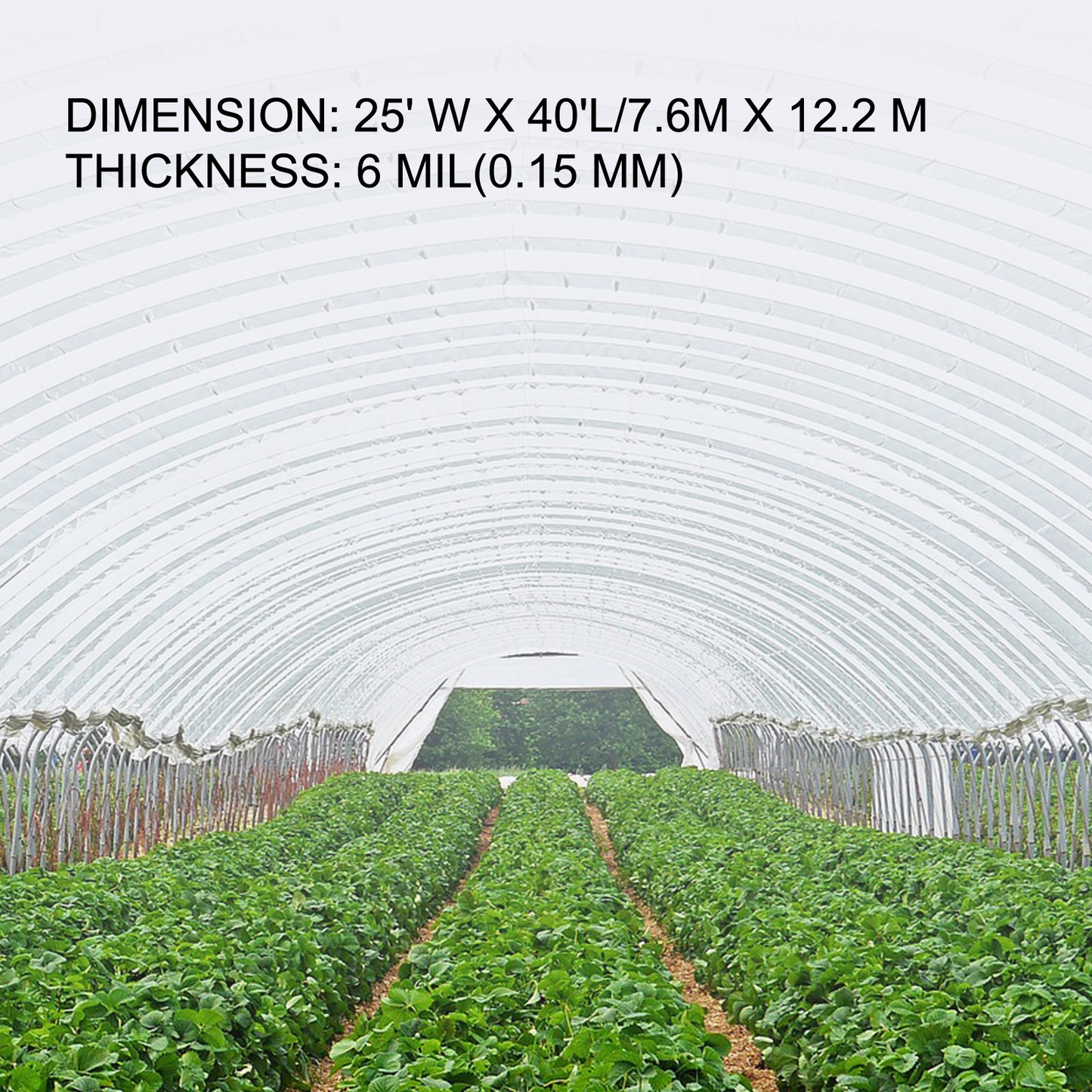 VEVOR Greenhouse Film 25 x 40 ft, Greenhouse Polyethylene Film 6 Mil Thickness, Greenhouse Plastic Greenhouse Clear Plastic Film UV Resistant, Polyethylene Film Keep Warming, Superior Strength