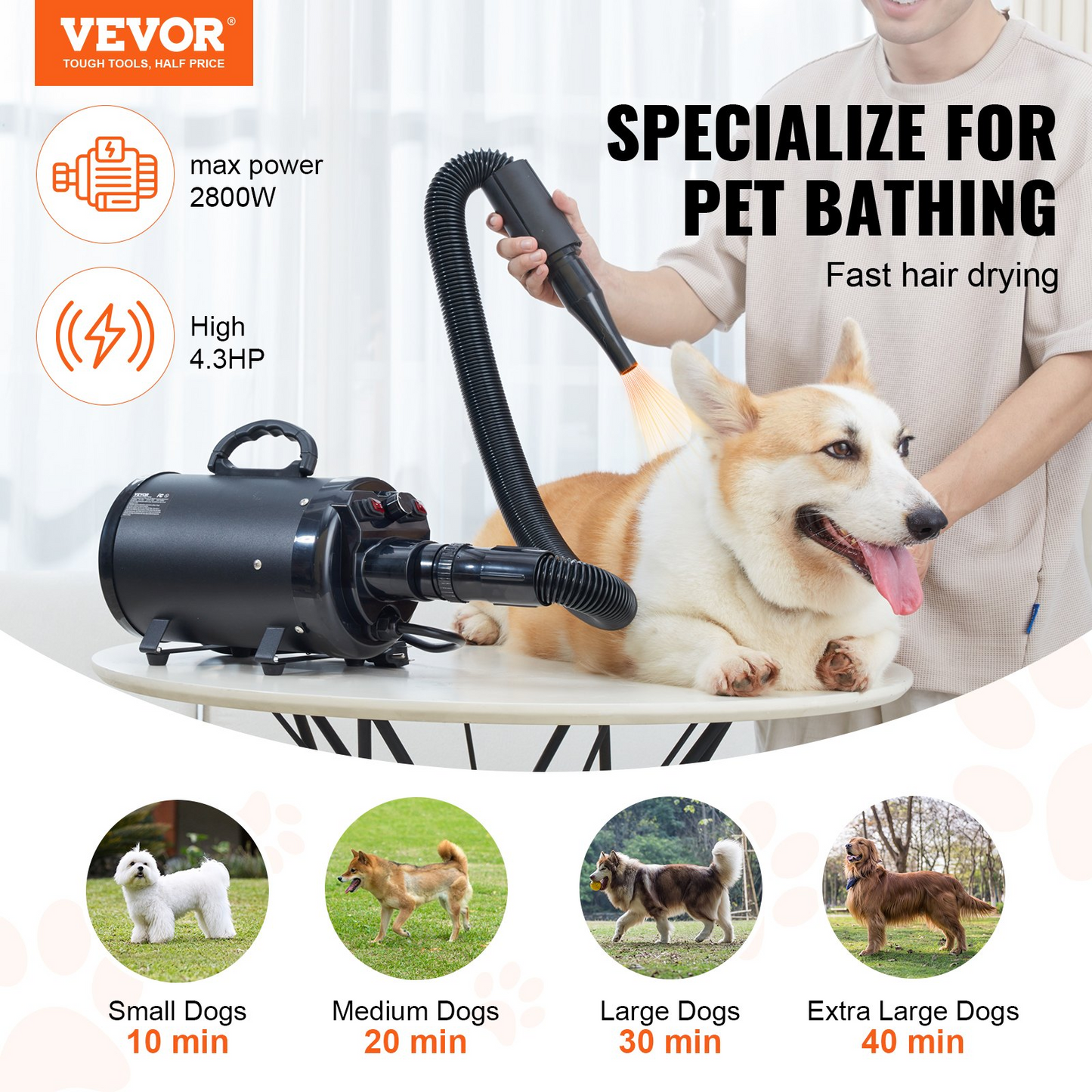 VEVOR Dog Dryer, 2800W/4.3HP Dog Blow Dryer, Pet Grooming Dryer with Adjustable Speed and Temperature Control, Pet Hair Dryer with 4 Nozzles and Extendable Hose, Black