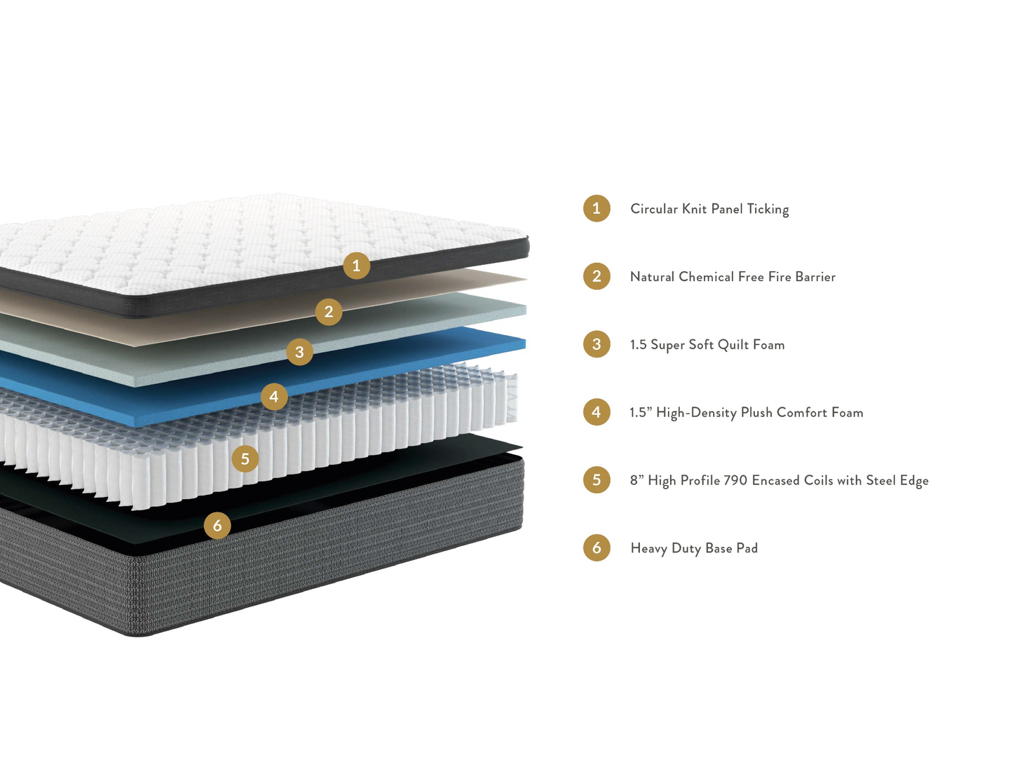 Studio Plush Euro Comfort Mattress - High-Density Plush Foam & Encased Coils