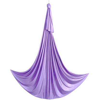 VEVOR Aerial Yoga Hammock & Swing, 4.4 Yards, Yoga Starter Kit with 100gsm Nylon Fabric, Full Rigging Hardware and Easy Set-up Guide, Antigravity Flying for All Levels Fitness Bodybuilding, Purple