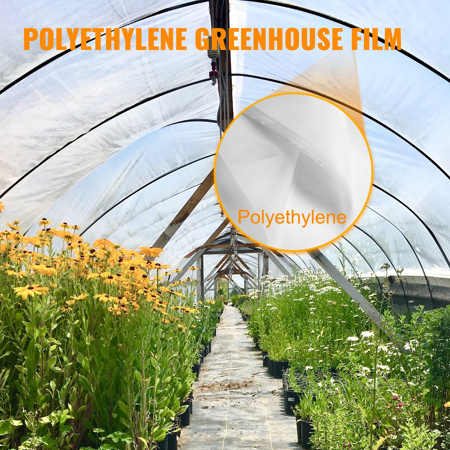 VEVOR Greenhouse Film 10 x 25 ft - 6 Mil UV Resistant Polyethylene Plastic