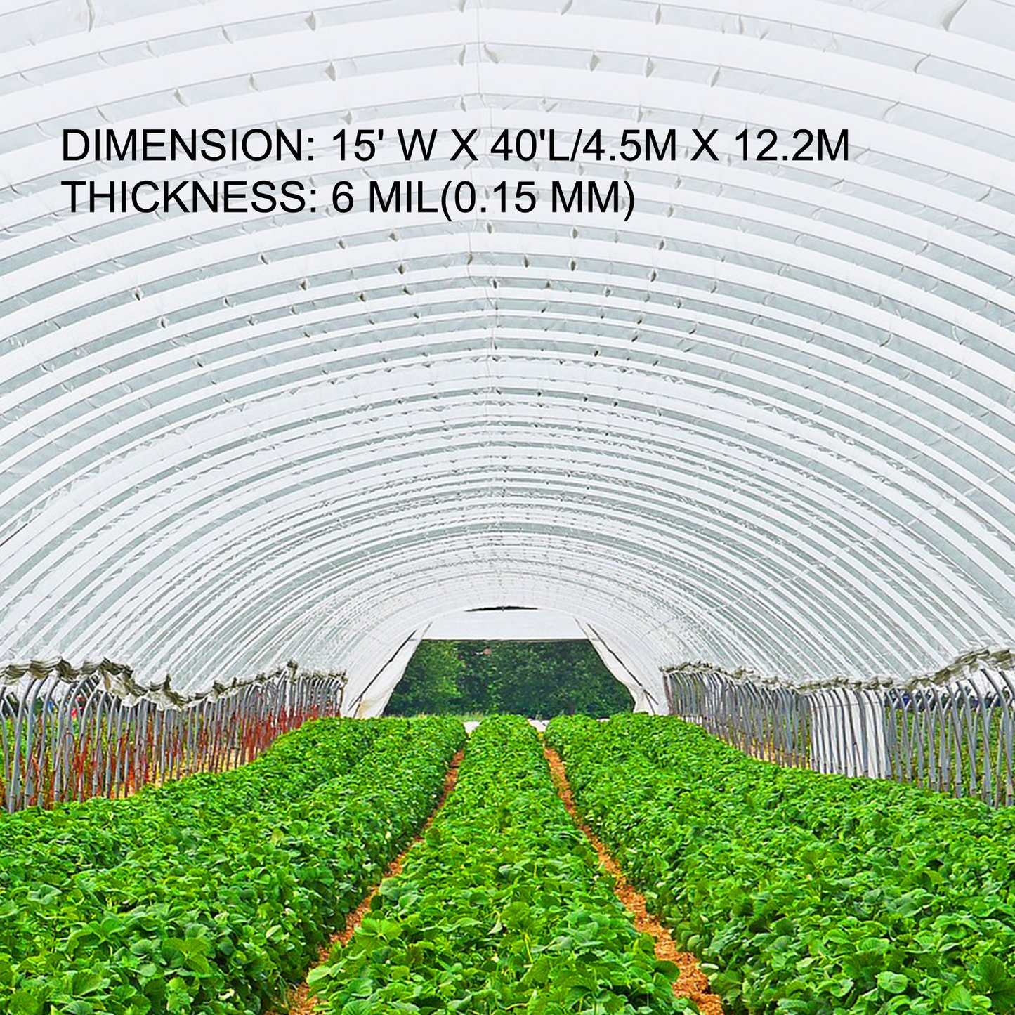 VEVOR Greenhouse Film 15 x 40 ft, Greenhouse Polyethylene Film 6 Mil Thickness, Greenhouse Plastic Greenhouse Clear Plastic Film UV Resistant, Polyethylene Film Keep Warming, Superior Strength